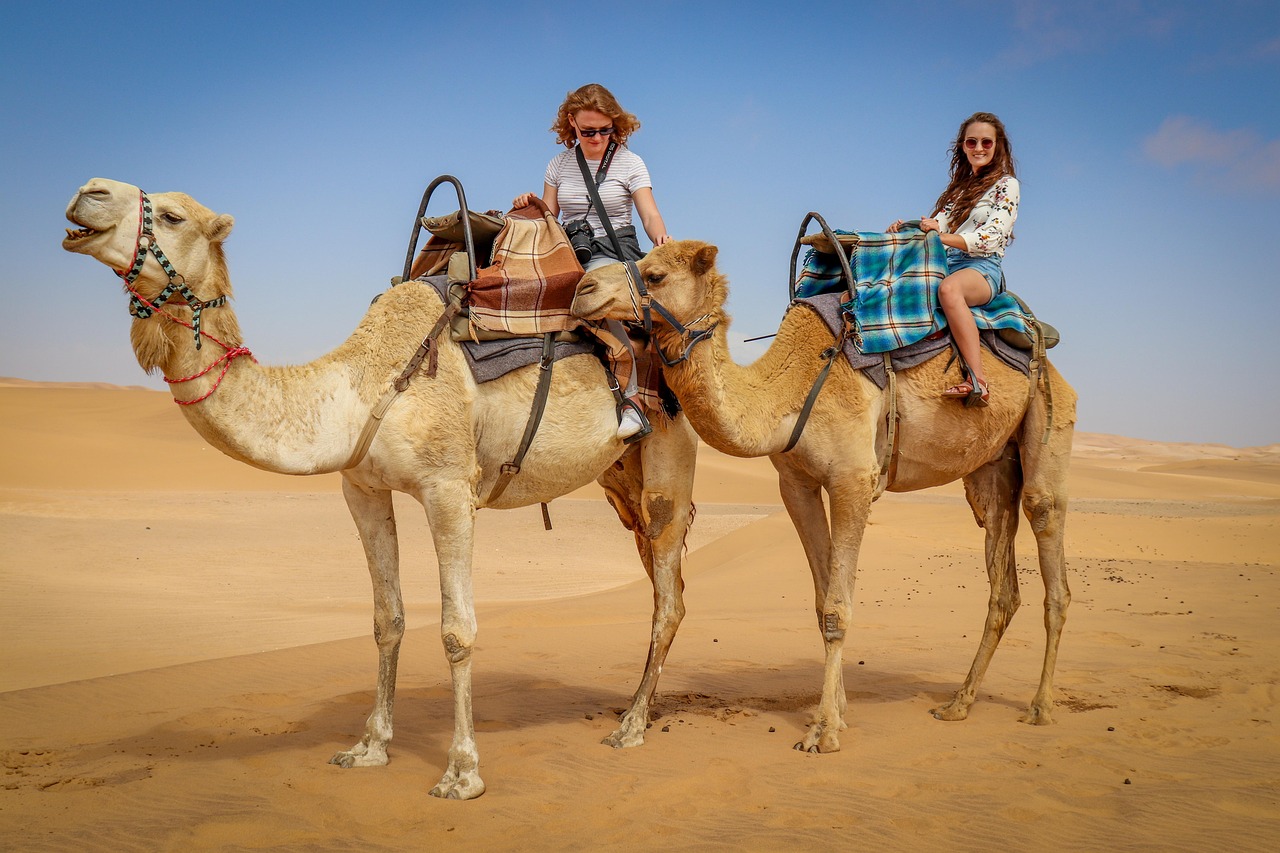 desert safari tours Dubai