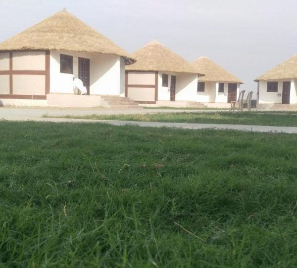 rann resort dholavira