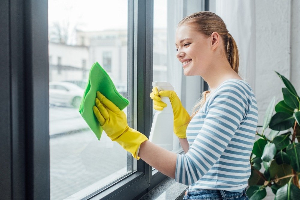 Window Cleaning Services